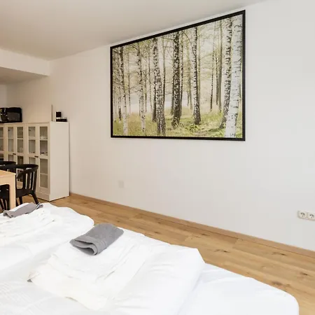 Grosse In Der Altstadt Apartment Wurzburg